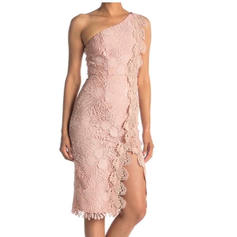 NWT REISS Gorgeous Mena Crochet Lace One Shoulder Nude Dress.